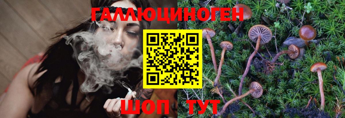 Псилоцибиновые грибы Psilocybine cubensis  Псилоцибиновые грибы Psilocybine cubensis  Фрязино  Вход с VPN 